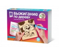 Набор для творчества Фантазер Прибор для выжигания по дереву Поиграй со мной 5 насадок и 2 фанерки