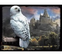 Пазл 3D 500 Букля