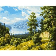 Раскраски по номерам Лесной пейзаж 50x40 см