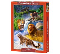 Пазл Castorland 1000 деталей Дикие кошки (Castorland, C-103553)