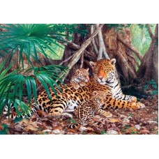 Пазл Castorland 3000 деталей Ягуары в джунглях, средний размер элементов 1,6?1,4 см