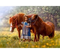 Пазл Castorland 500 деталей, лошади (Castorland, В-52509)