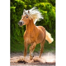 Пазл Castorland Животные 500 Бегущие лошади