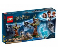 Конструктор LEGO Harry Potter TM Экспекто Патронум!