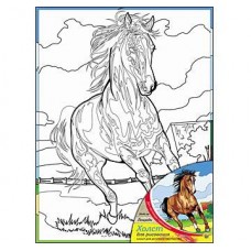 Набор для творчества Холст для рисования с красками "Лошадь" 30*40см (Рыжий Кот, Х-9843)