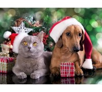 Набор для творчества Рыжий кот Холст с красками по номерам В ожидании Нового Года 40*50